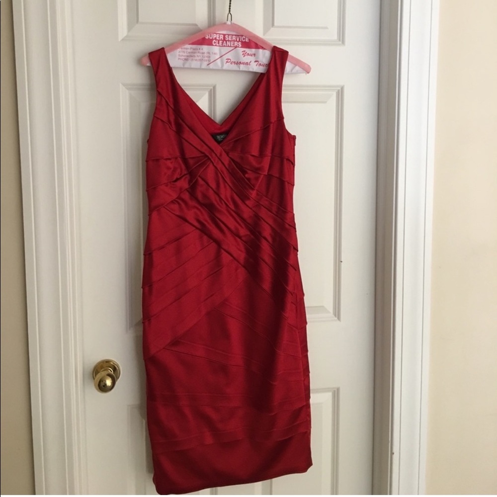 Tadashi Shoji Red Mini Dress
